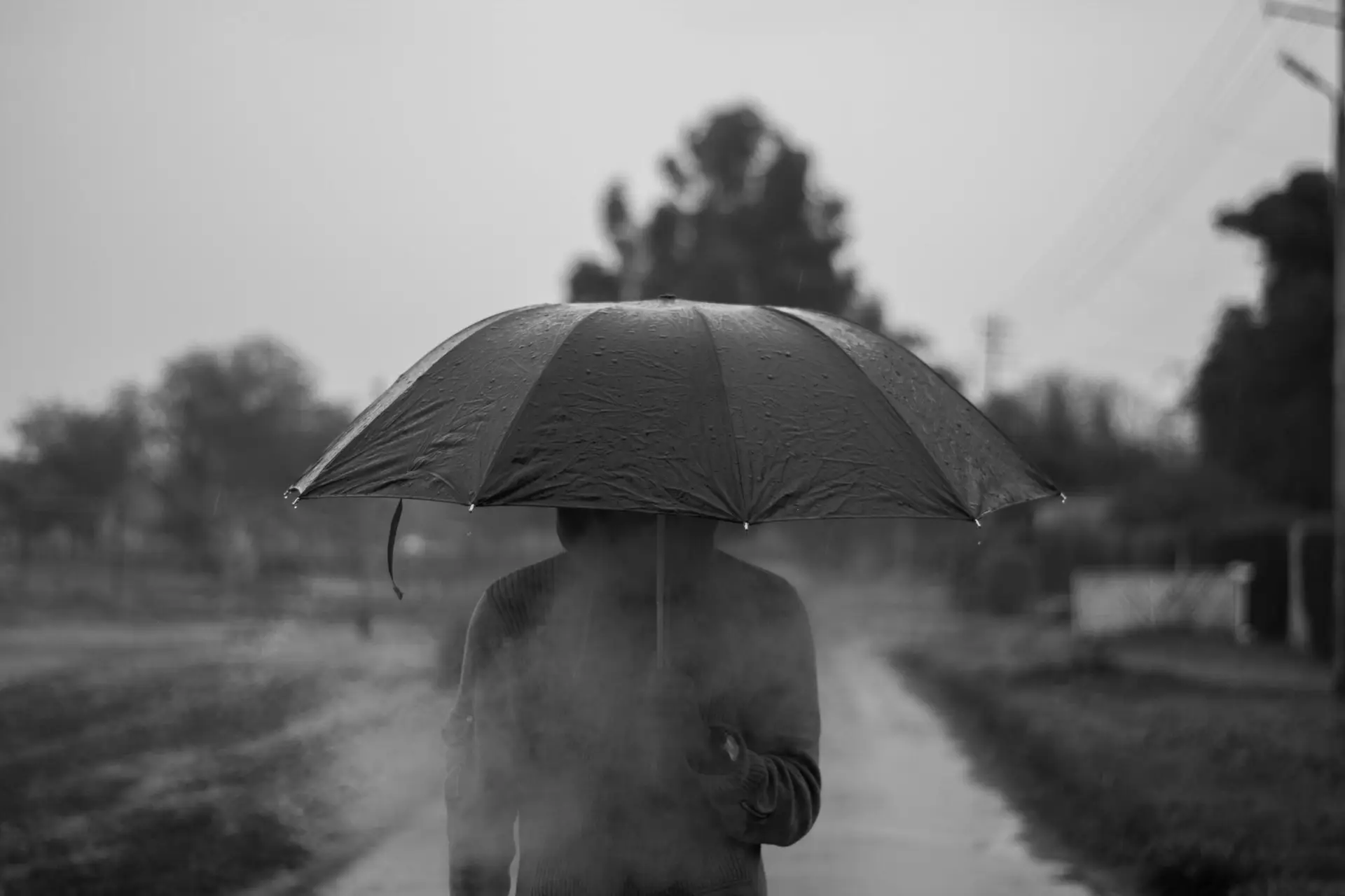 pexels-sabbaar-khan-961138-2031171